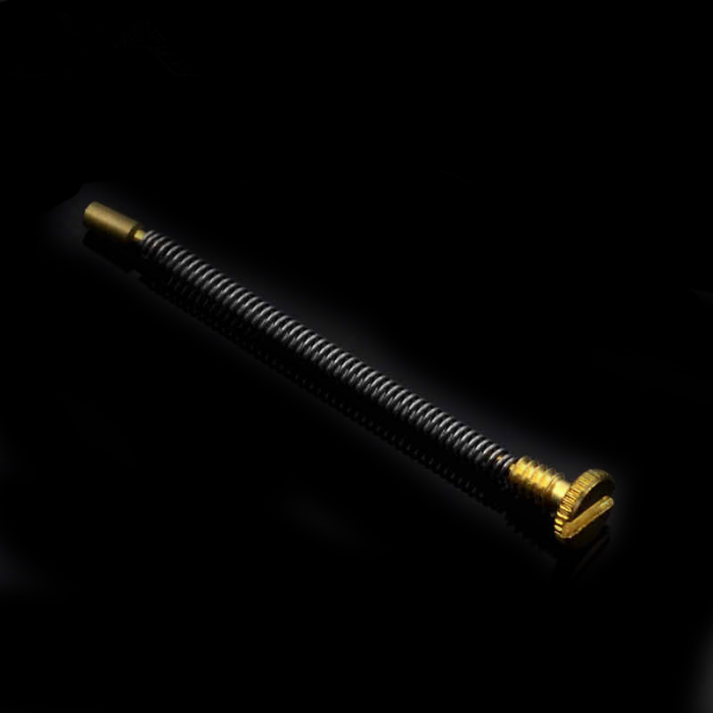 10 szt. Metalowa sprężynka do  – Musical Instrument Zither recenzja i cena