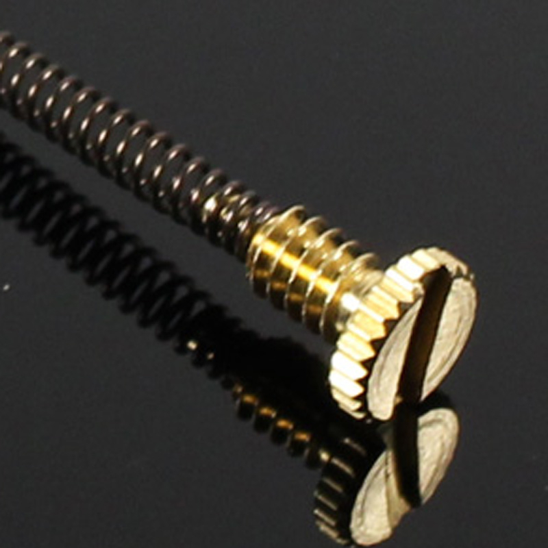 10 szt. Metalowa sprężynka do  – Musical Instrument Zither recenzja i cena