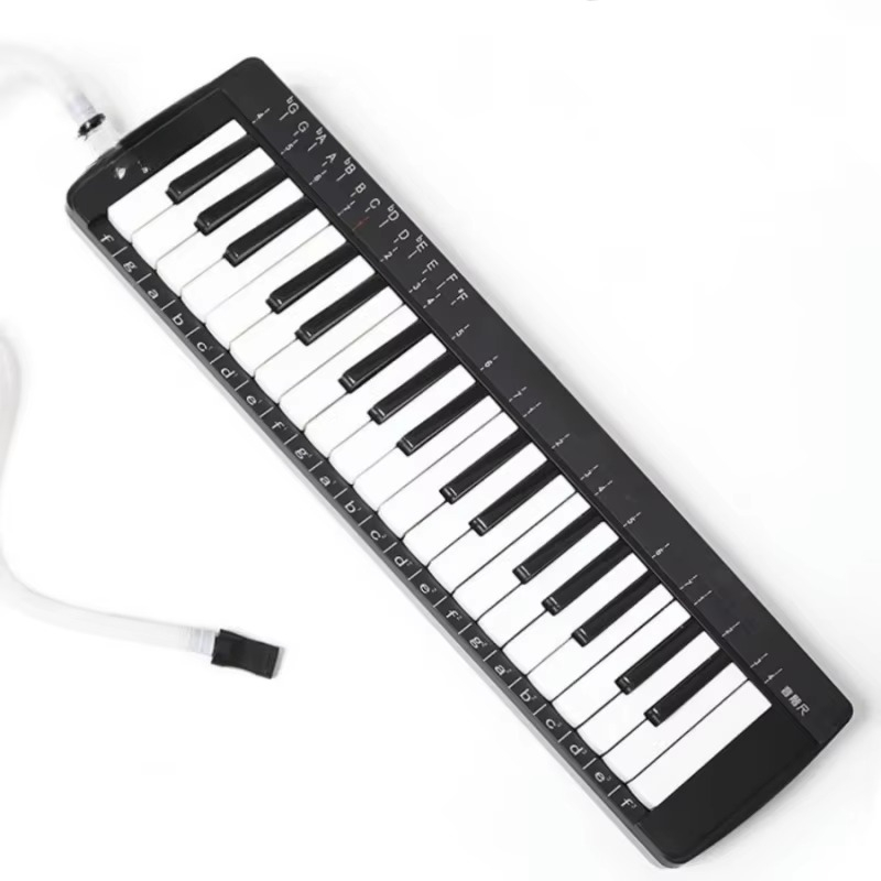 Profesjonalny zestaw melodiki  – Musical Instrument Melodica recenzja i cena